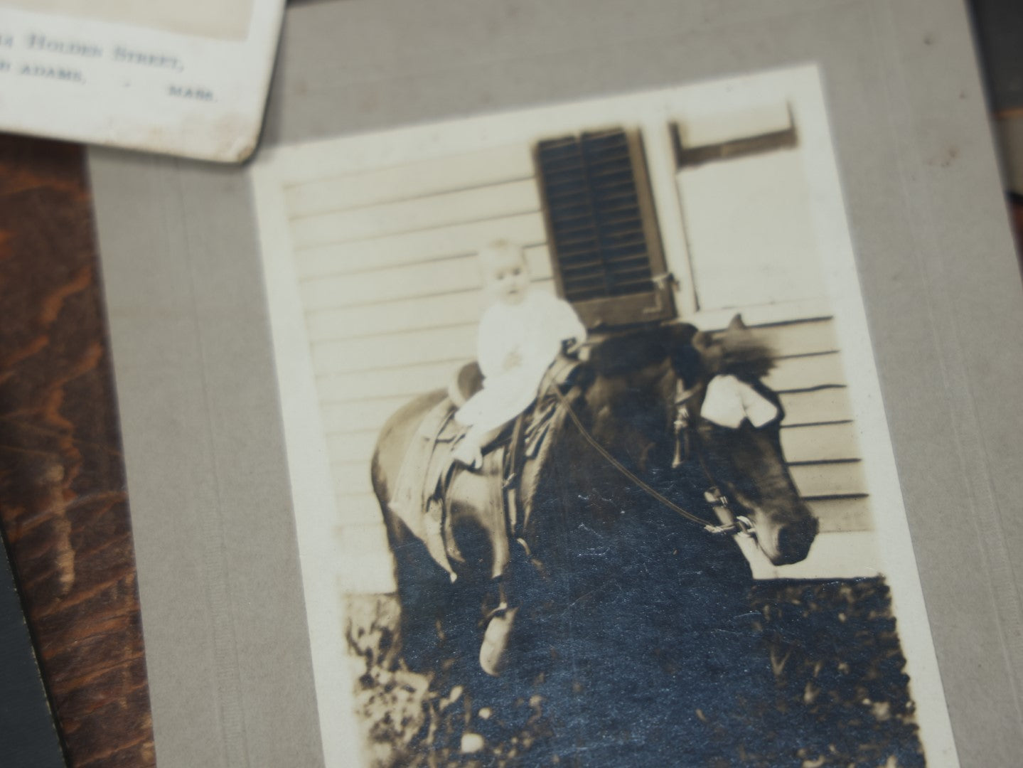 Lot 103 - Large Grouping Of 50+ Cabinet Card, C.D.V., Boarded Photos, And R.P.P.C., Mostly Portraits, People, Animals, Women, Children