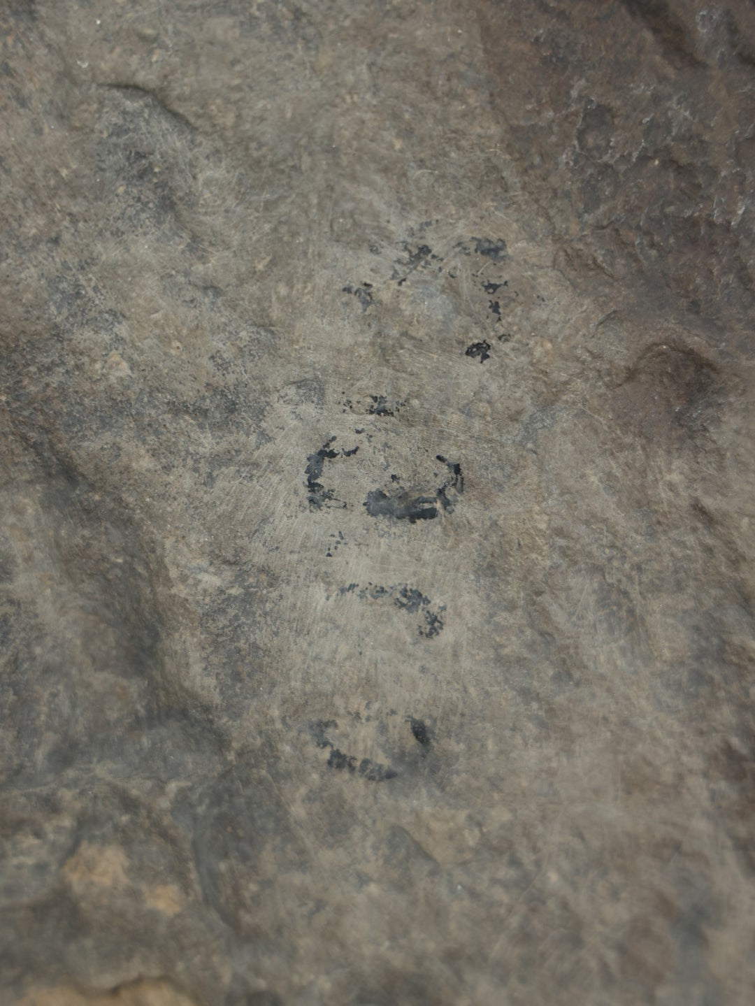 Lot 001 - Genuine Fossilized Dinosaur Footprint Specimen, Eubrontes, Late Triassic, Early Jurassic Period, Early 20th Century Specimen From Western Ma, Tagged By Reginald J. Alden