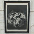 Lot 038 - Vintage Framed Print Of The Pharaoh's Horses, Black And White, Modern Frame, With Pencil Writing On Back
