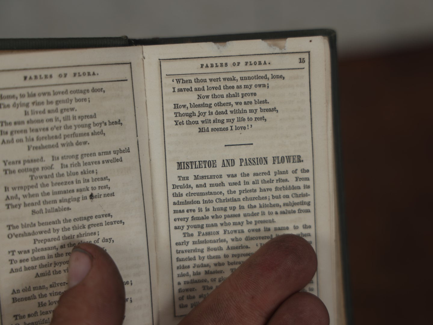 Lot 086 - "Fables Of Flora" Antique Book Edited By Miss S.C. Edgarton, Poems And Stories About Plants And Flowers, Circa 1845