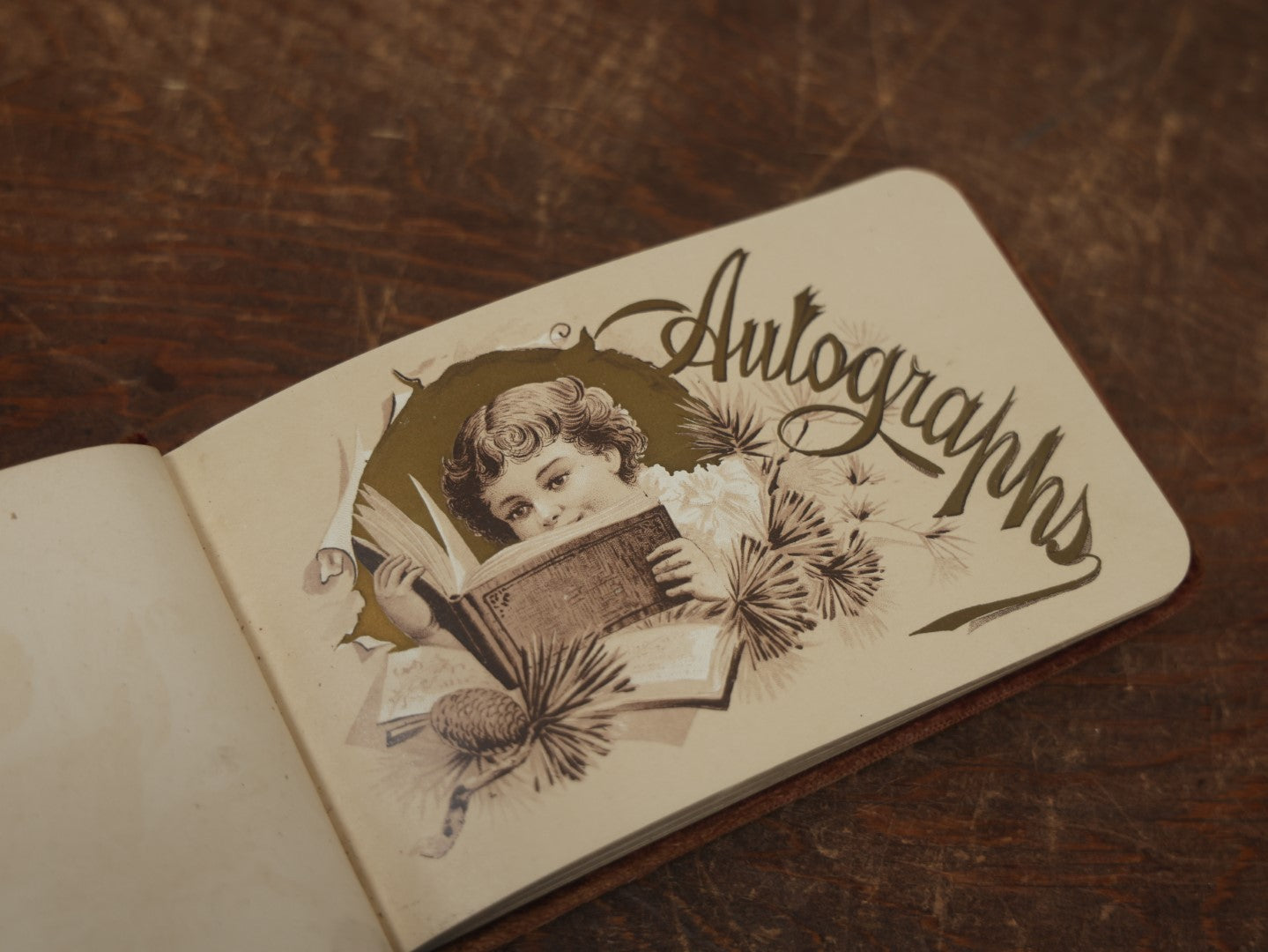 Lot 091 - Antique Victorian Velvet Autograph Album With Metal Album Badge, Many Signatures, 1890s, Mount Holyoke College 