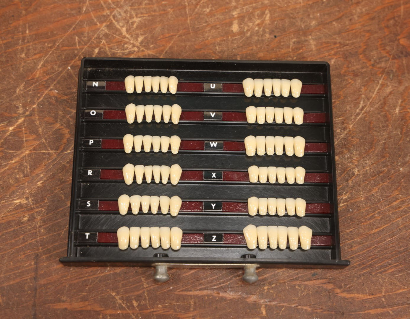 Lot 016 - Vintage Bakelite Dentist Cabinet With False Teeth, The Dentists' Supply Co. Of New York Bioform