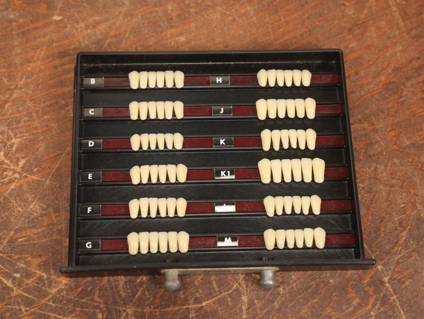 Lot 016 - Vintage Bakelite Dentist Cabinet With False Teeth, The Dentists' Supply Co. Of New York Bioform