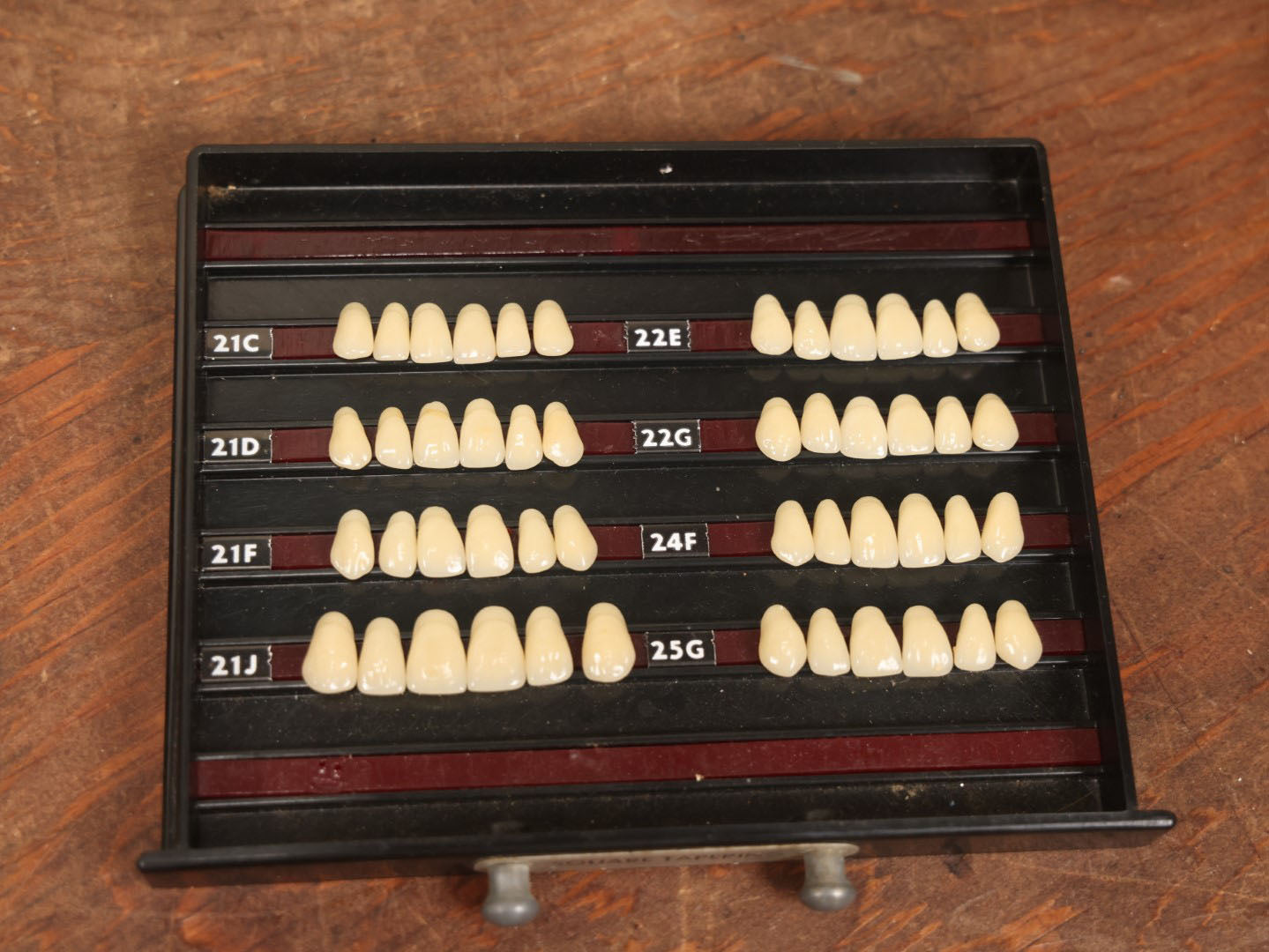 Lot 016 - Vintage Bakelite Dentist Cabinet With False Teeth, The Dentists' Supply Co. Of New York Bioform