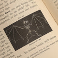 Lot 034 - "Popular Zoology" By J. Dorman Steele & J.W.P. Jenks, Illustrated Book On The Animal Kingdom, Profusely Illustrated, Bats, Snakes, And More, 1887