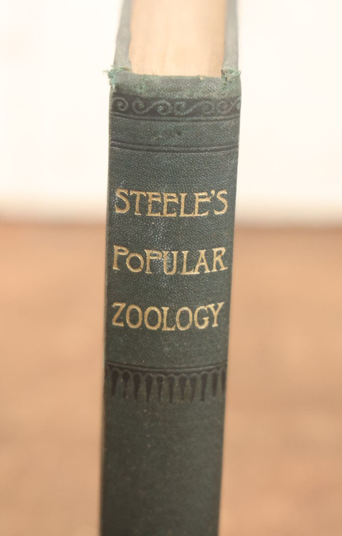 Lot 034 - "Popular Zoology" By J. Dorman Steele & J.W.P. Jenks, Illustrated Book On The Animal Kingdom, Profusely Illustrated, Bats, Snakes, And More, 1887