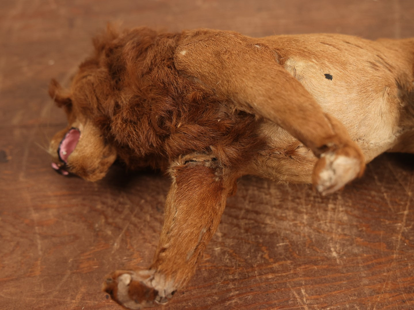 Lot 054 - Vintage Real Fur Lion Statue Toy Figurine, Note Wear