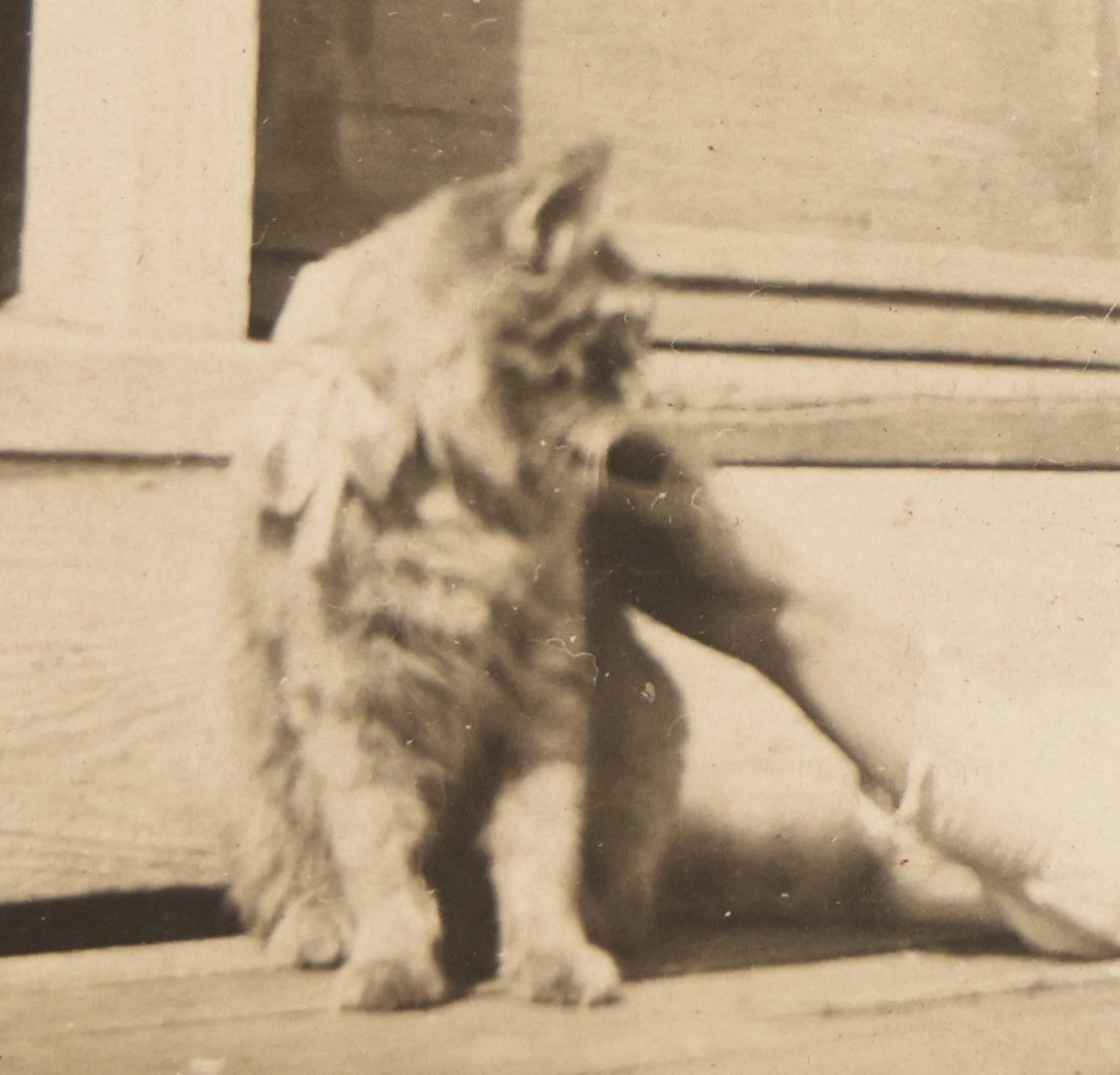 Lot 092 - Antique Small Boarded Photo Of Woman And Cat Sitting On Stoop