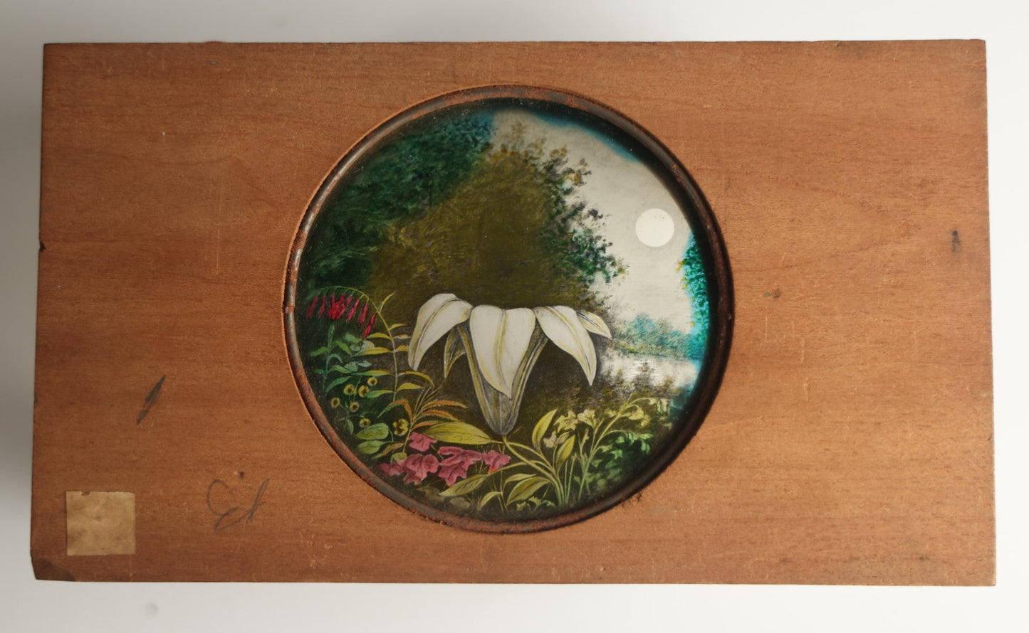 Lot 044 - Antique Hand Painted Magic Lantern Slide, White Flower Among Other Foliage, Night Sky With Moon, By Pond