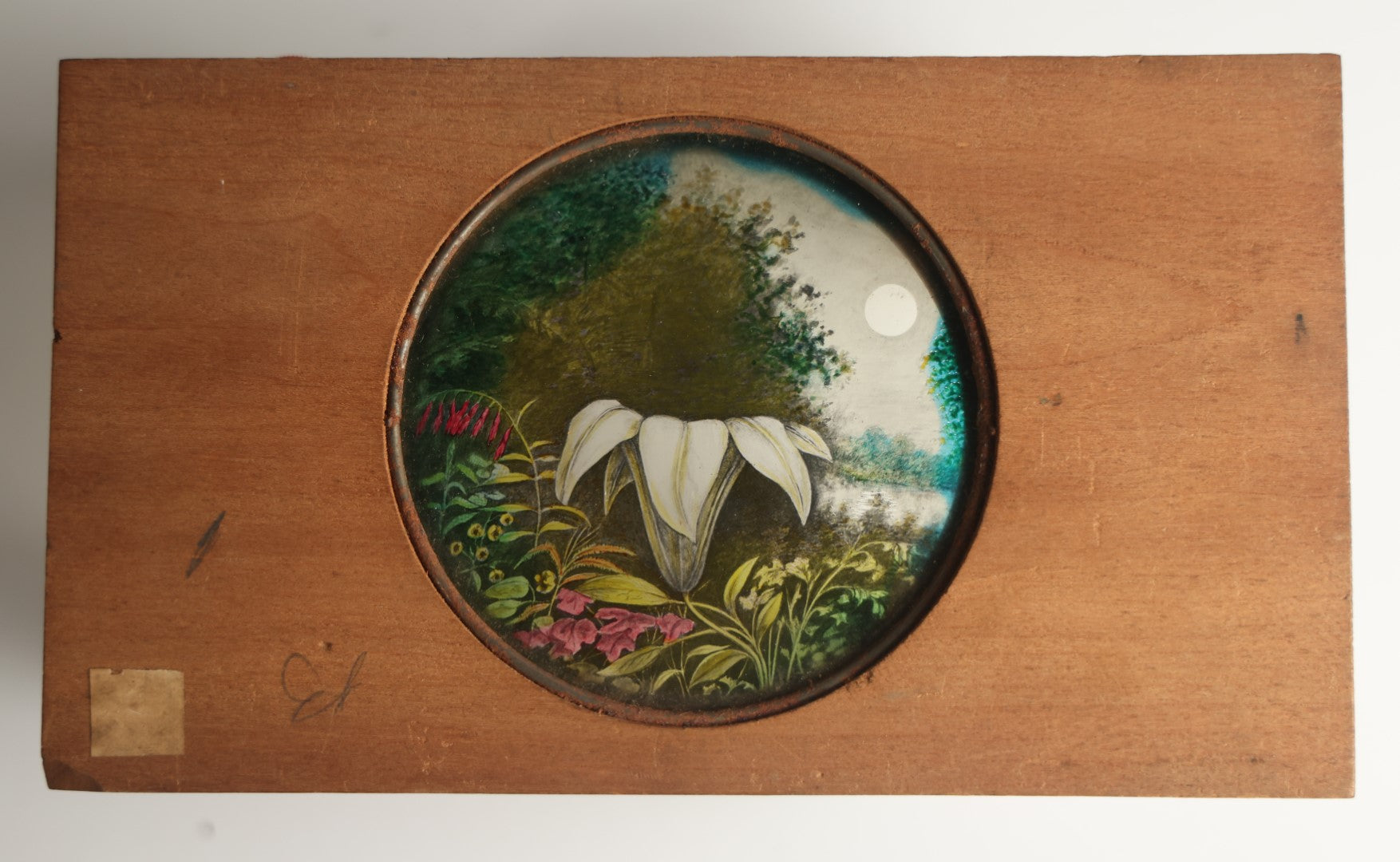 Lot 044 - Antique Hand Painted Magic Lantern Slide, White Flower Among Other Foliage, Night Sky With Moon, By Pond