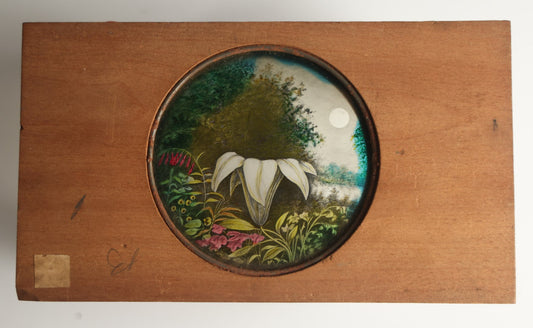 Lot 044 - Antique Hand Painted Magic Lantern Slide, White Flower Among Other Foliage, Night Sky With Moon, By Pond