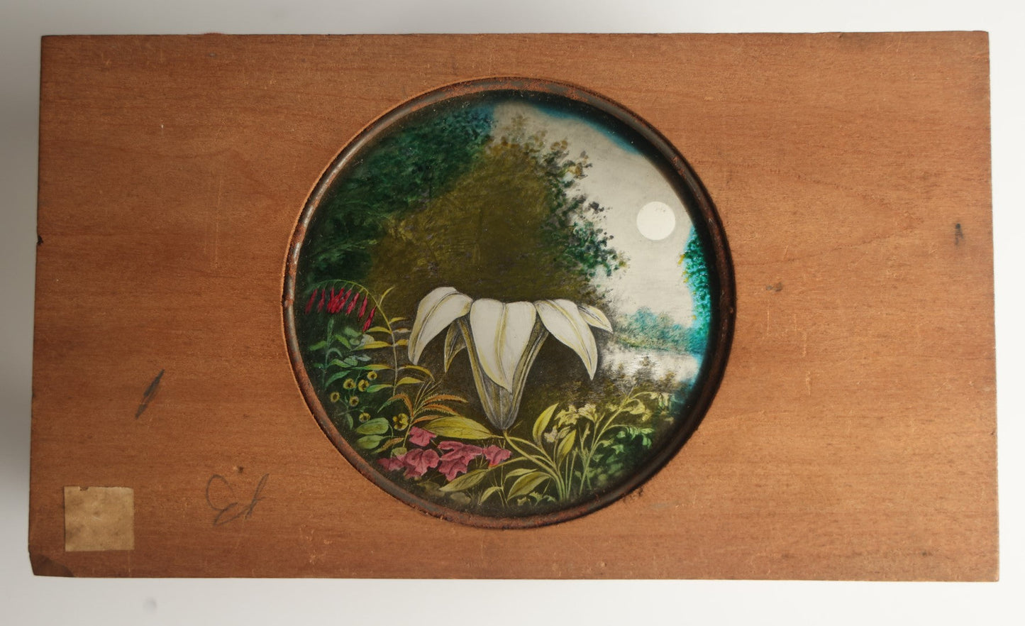 Lot 044 - Antique Hand Painted Magic Lantern Slide, White Flower Among Other Foliage, Night Sky With Moon, By Pond