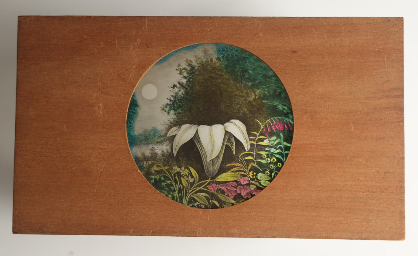 Lot 044 - Antique Hand Painted Magic Lantern Slide, White Flower Among Other Foliage, Night Sky With Moon, By Pond