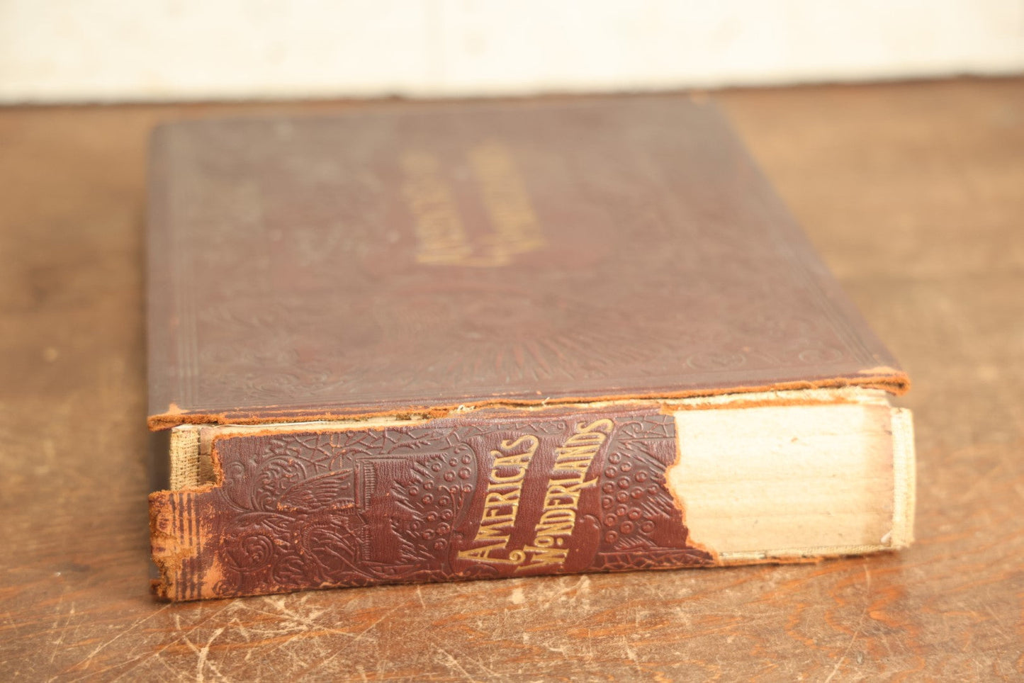 Lot 087 - "America's Wonderlands, A Pictorial And Descriptive History Of Our Country's Scenic Marvels" Antique Photography Book By J.W. Buel, With More Than 500 Photos, Copyright 1893, Note Heavy Wear, Binding Issues