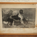 Lot 090 - Antique Dog Print, "To The Rescue" Published By Currier And Ives, Dog About To Rescue Drowning Child, Beach Scene, In Frame, Note Water Damage, Wear