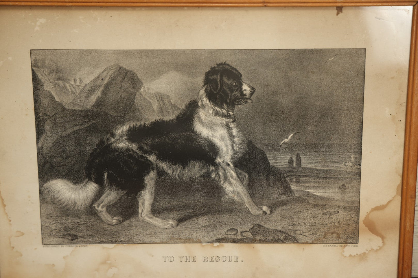 Lot 090 - Antique Dog Print, "To The Rescue" Published By Currier And Ives, Dog About To Rescue Drowning Child, Beach Scene, In Frame, Note Water Damage, Wear