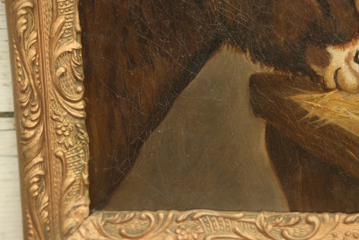 Lot 002 - 19th Century Oil Painting On Board Of A Kitten And A Donkey, 11-1/2" x 14-1/4"