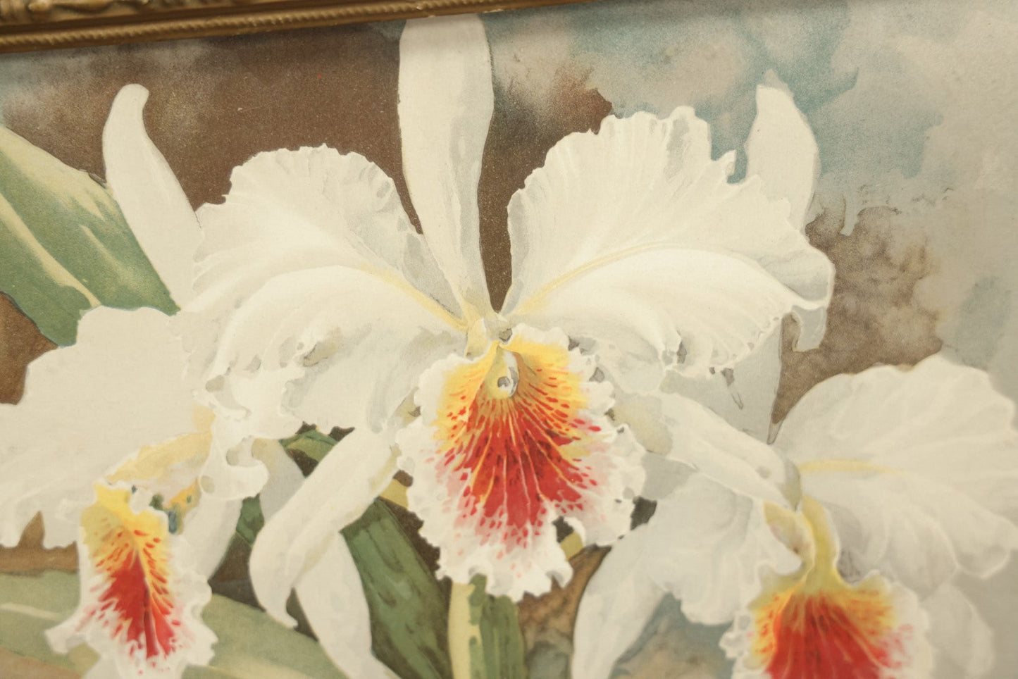 Lot 026 - Antique Chromolithograph, White Orchids By Paul De Longpre (French, 1855-1911) In Frame