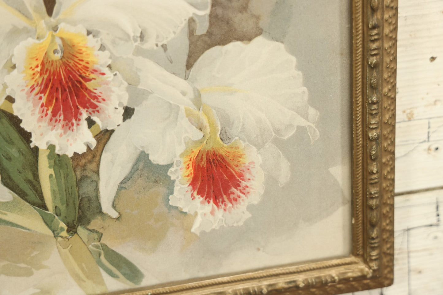 Lot 026 - Antique Chromolithograph, White Orchids By Paul De Longpre (French, 1855-1911) In Frame