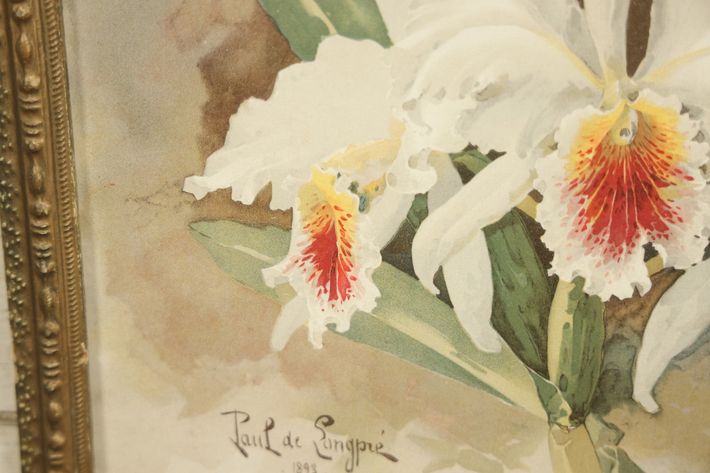 Lot 026 - Antique Chromolithograph, White Orchids By Paul De Longpre (French, 1855-1911) In Frame