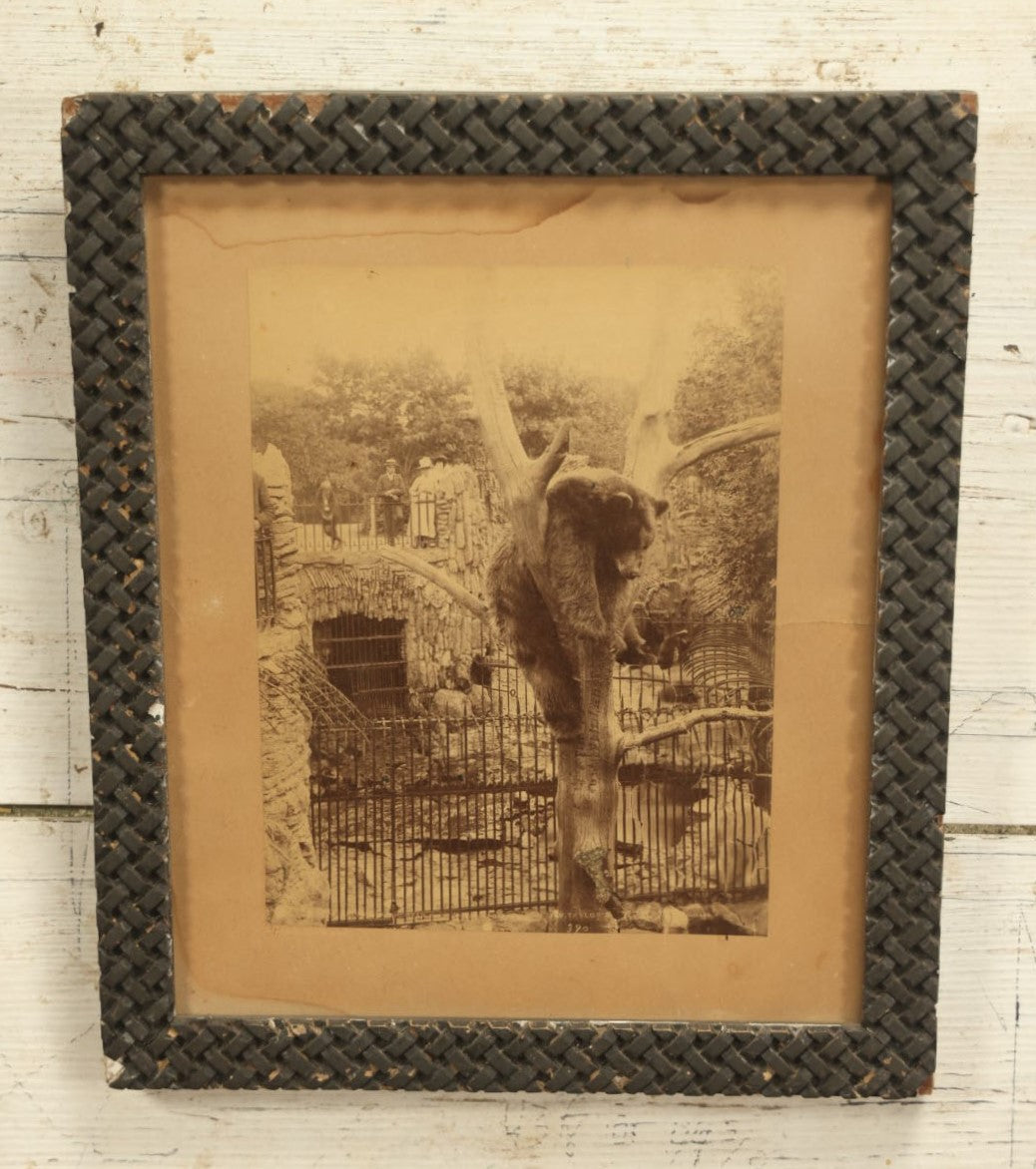 Lot 028 - Antique Boarded Photo, Lincoln Park Zoo Bear Enclosure With Bear And Visitors In Background, Chicago, Illinois, In Frame, Photo By J.W. Taylor