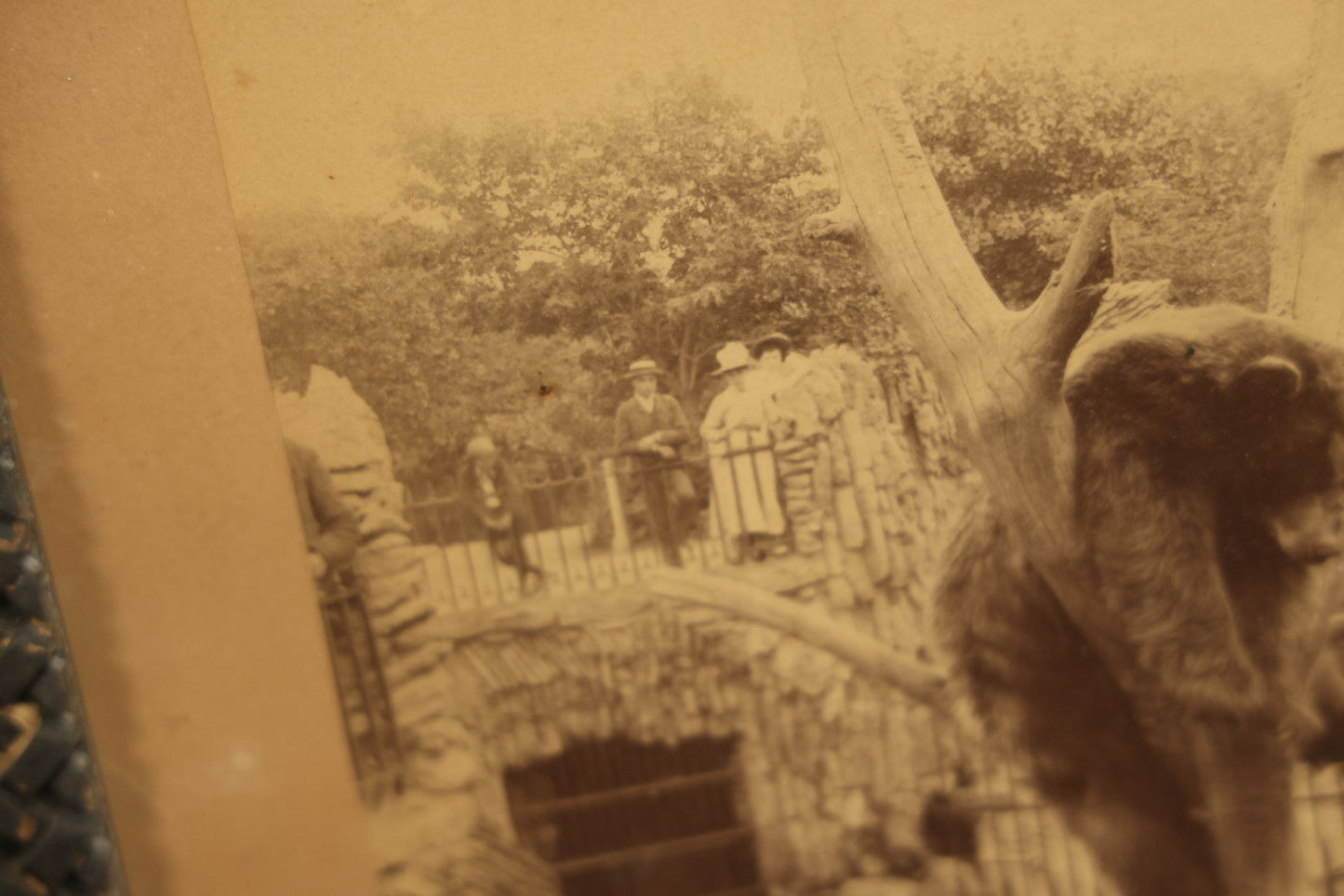 Lot 028 - Antique Boarded Photo, Lincoln Park Zoo Bear Enclosure With Bear And Visitors In Background, Chicago, Illinois, In Frame, Photo By J.W. Taylor