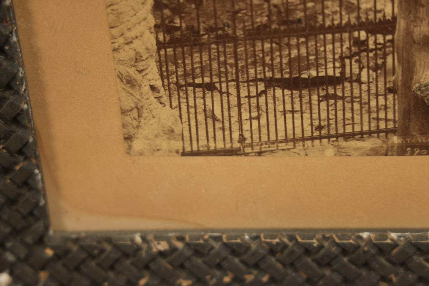 Lot 028 - Antique Boarded Photo, Lincoln Park Zoo Bear Enclosure With Bear And Visitors In Background, Chicago, Illinois, In Frame, Photo By J.W. Taylor