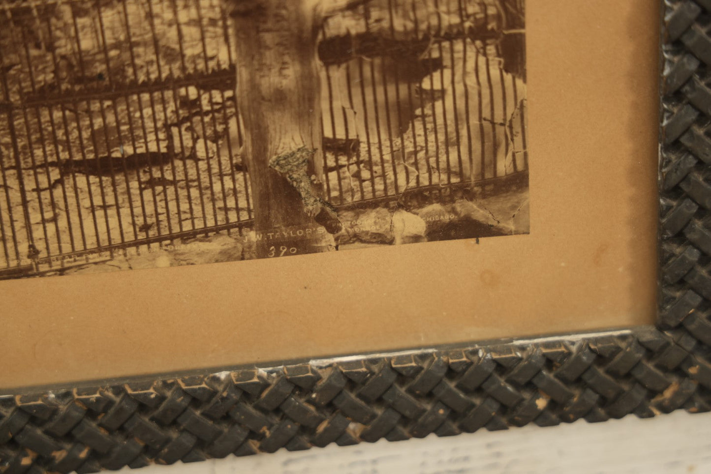 Lot 028 - Antique Boarded Photo, Lincoln Park Zoo Bear Enclosure With Bear And Visitors In Background, Chicago, Illinois, In Frame, Photo By J.W. Taylor