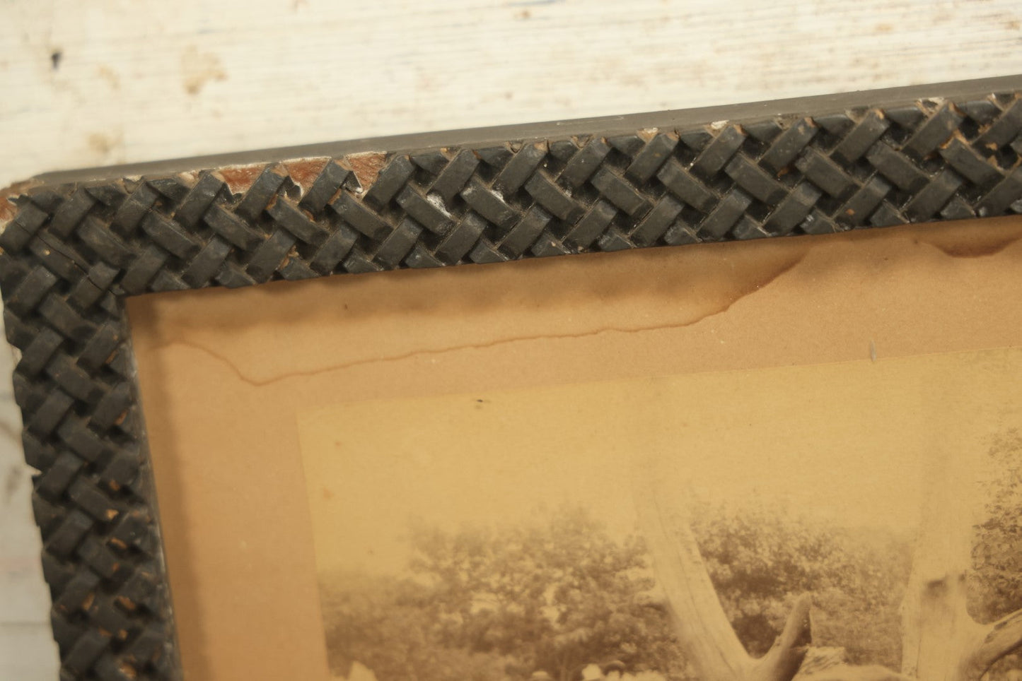 Lot 028 - Antique Boarded Photo, Lincoln Park Zoo Bear Enclosure With Bear And Visitors In Background, Chicago, Illinois, In Frame, Photo By J.W. Taylor