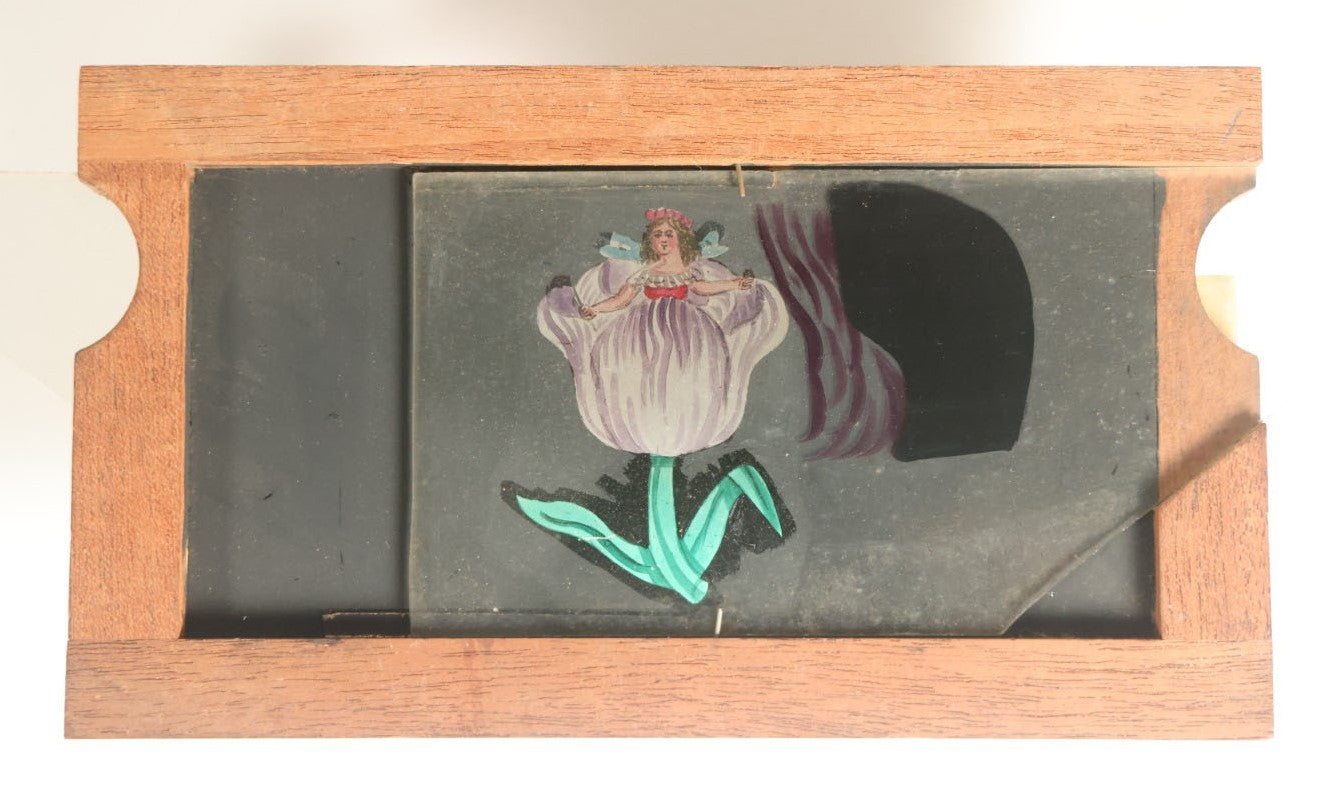 Lot 040 - Antique Hand Painted Animated Magic Lantern Motion Slide, Fairy Flower Lady Blooming Out Of Flower