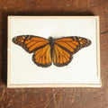 Lot 045 - Antique Danaus Plexippus "Monarch" Butterfly Slabbed Preparation, Denton Bros Patented Butterfly Tablet, Wellesley, Massachusetts, Copyright 1894 - 5-1/2" x 4-1/4"