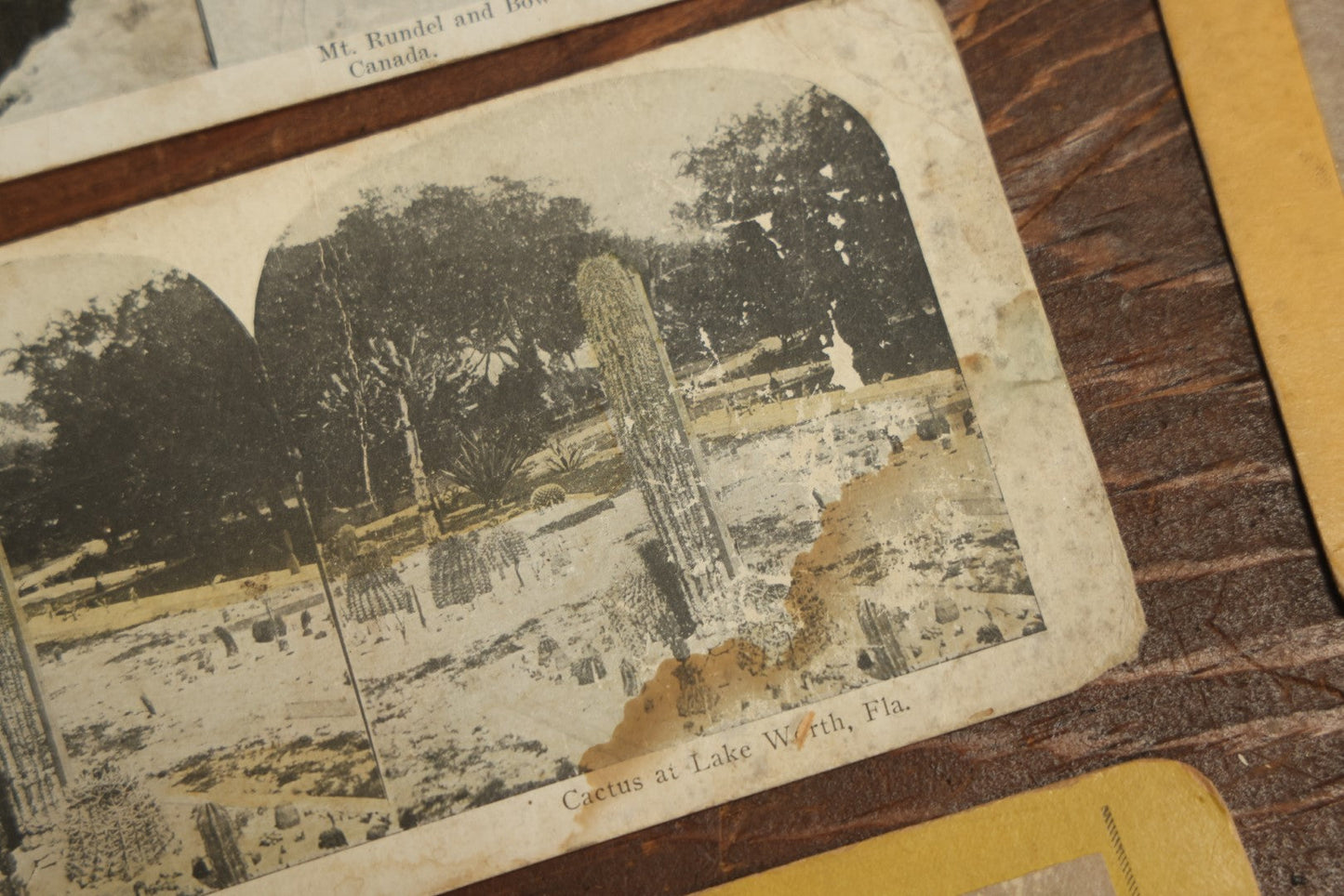 Lot 103 - Grouping Of 24+ Antique Landscape Stereo Cards, Showing Foliage, Rock Formations, Mountains, And More