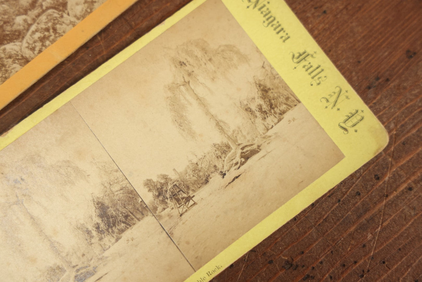 Lot 103 - Grouping Of 24+ Antique Landscape Stereo Cards, Showing Foliage, Rock Formations, Mountains, And More