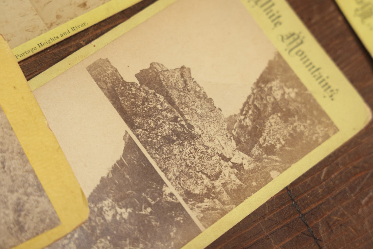 Lot 103 - Grouping Of 24+ Antique Landscape Stereo Cards, Showing Foliage, Rock Formations, Mountains, And More