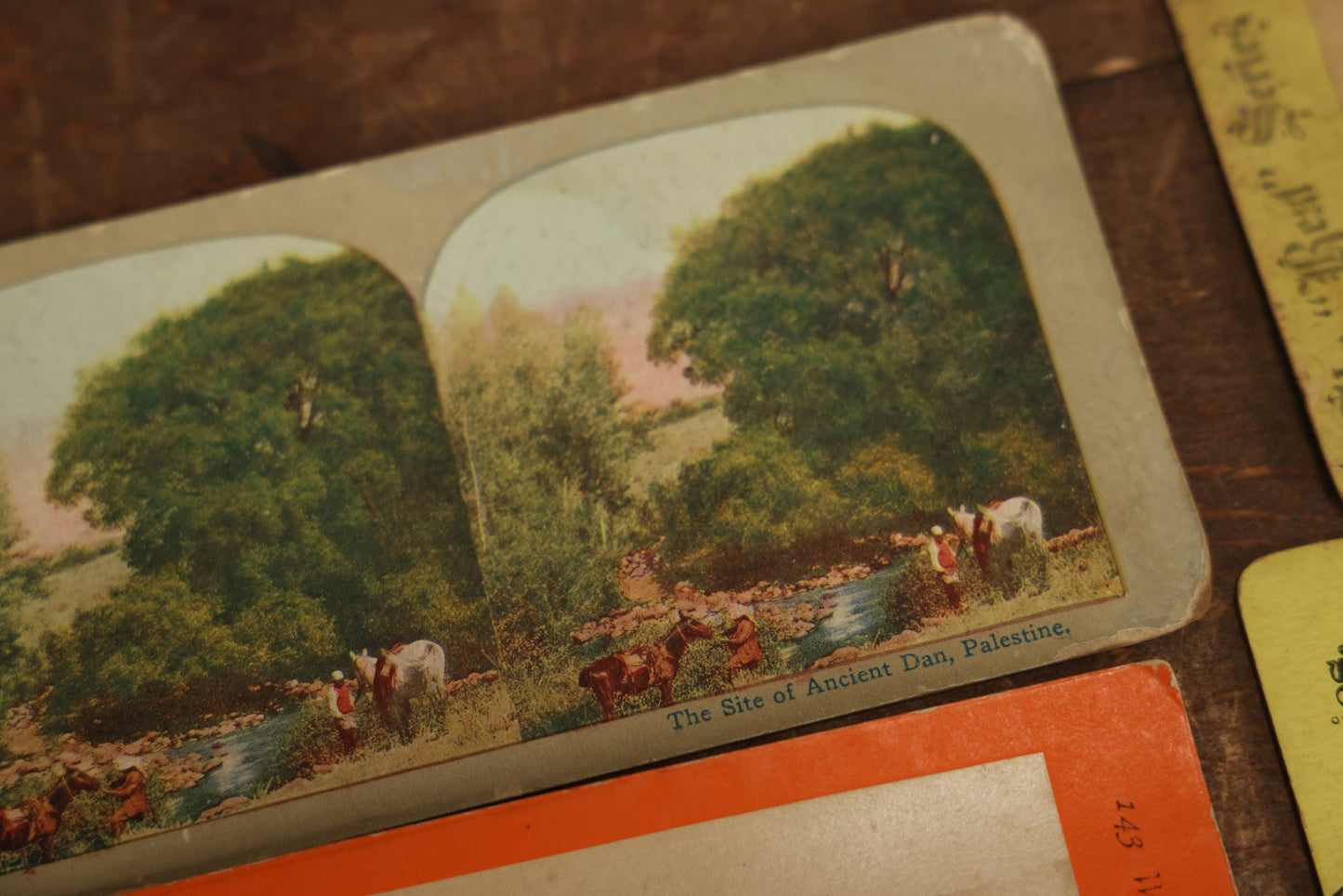 Lot 103 - Grouping Of 24+ Antique Landscape Stereo Cards, Showing Foliage, Rock Formations, Mountains, And More