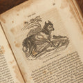 Lot 027 - "The Menageries: Quadrupeds" Antique Paperback Book Containing Numerous Illustrations Of Dogs, Wolves, Lions, Etc, Published In Boston, 1830