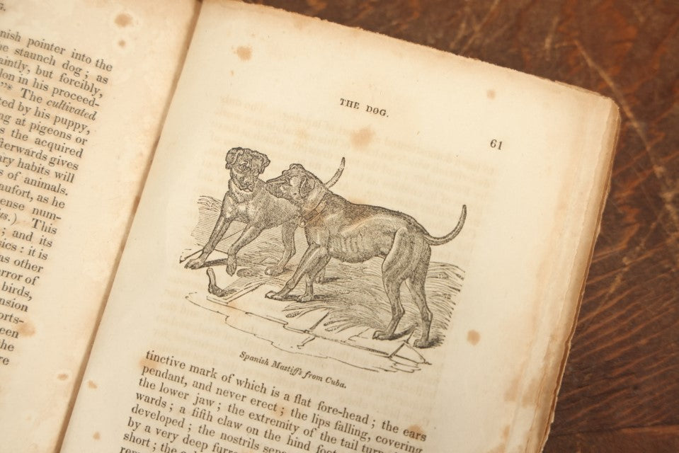 Lot 027 - "The Menageries: Quadrupeds" Antique Paperback Book Containing Numerous Illustrations Of Dogs, Wolves, Lions, Etc, Published In Boston, 1830