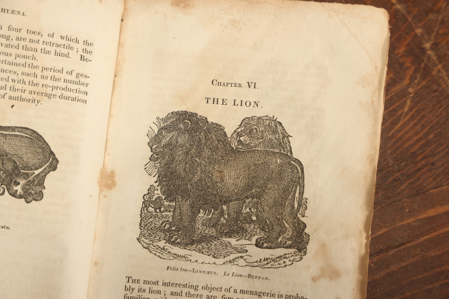 Lot 027 - "The Menageries: Quadrupeds" Antique Paperback Book Containing Numerous Illustrations Of Dogs, Wolves, Lions, Etc, Published In Boston, 1830