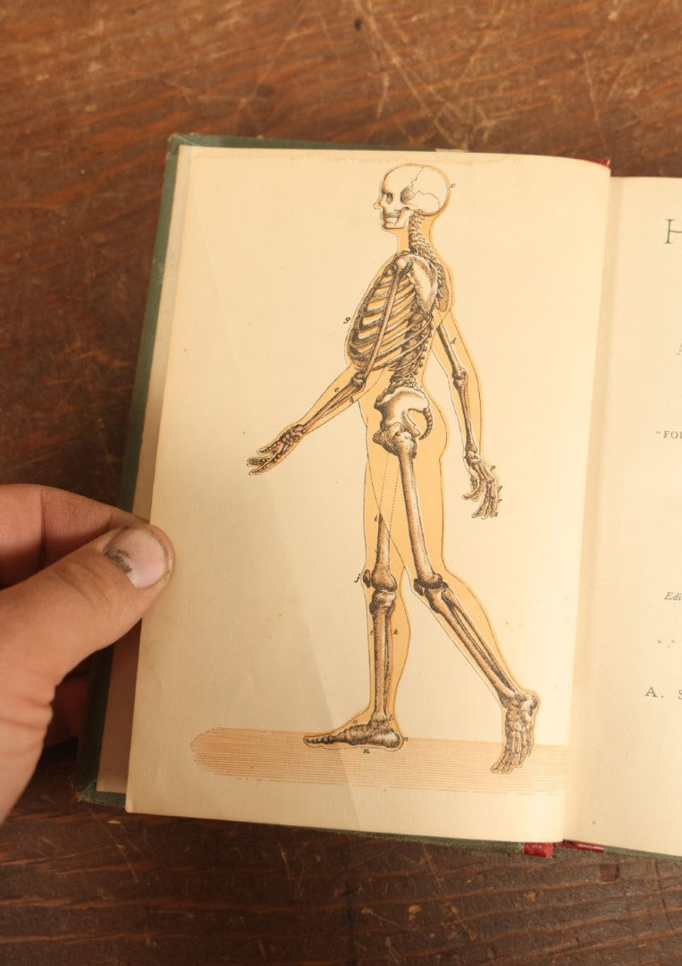 Lot 028 - "Hygienic Physiology" Antique Anatomy And Medicine Book With Many Illustrations, Full Color Plates, By Joel Dorman Steele, P.H.D., 1886