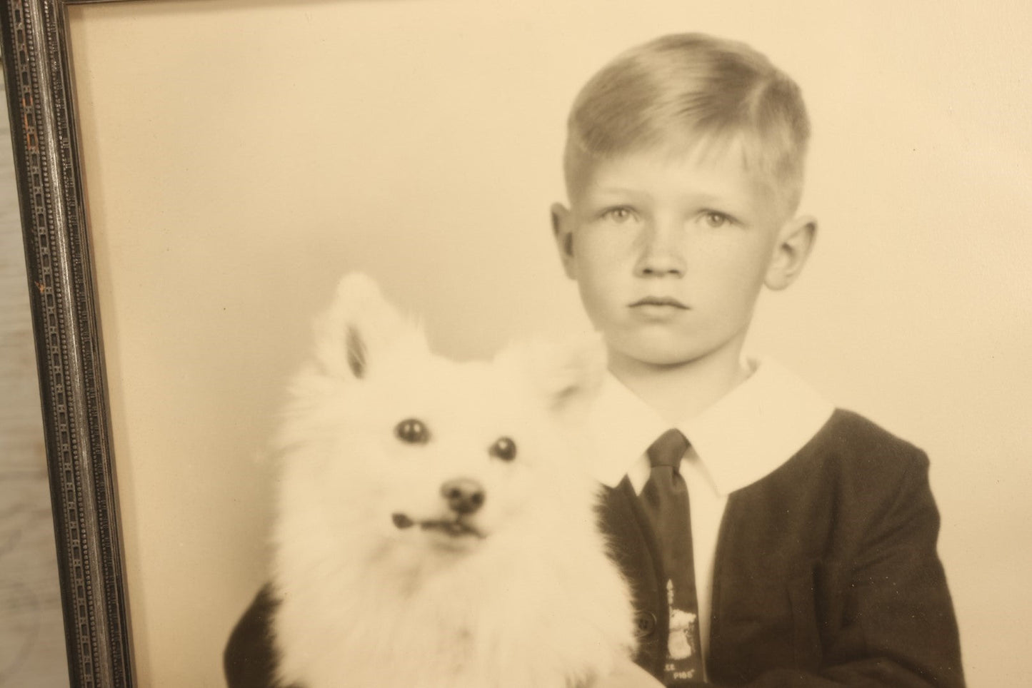 Lot 034 - Vintage Framed Glossy Portrait Photo Of A Boy And His Fluffy White Japanese Spitz Dog