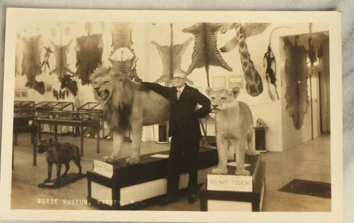 Lot 053 - Antique Real Photo Postcard R.P.P.C. Of Morse Museum Taxidermy Collection, Warren, New Hampshire, Circa Early 20Th Century