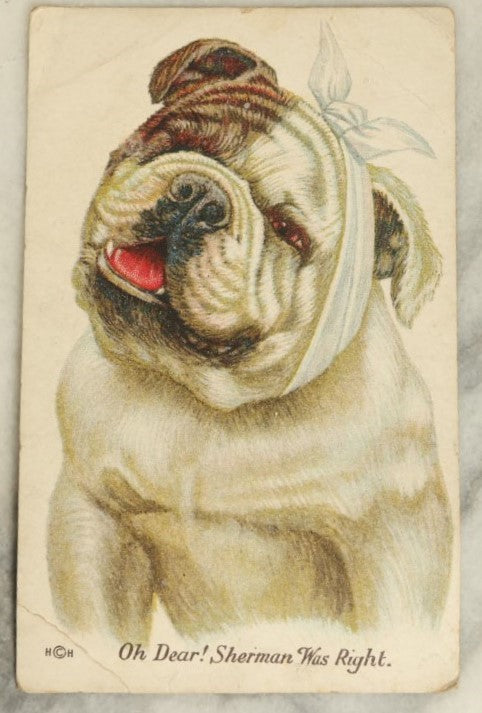 Lot 057 - Antique Bull Dog With Bandage, Toothache Postcard "Sherman Was Right"