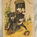 Lot 062 - Single Antique Trade Card, Larkin Boraxine Soap, Momma Dog With Puppies