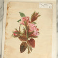 Lot 074 - Antique Hand Painted Rose Illustration, Unframed, Attributed To Ms. Lizzie S. Ames, Circa Late 19th Century