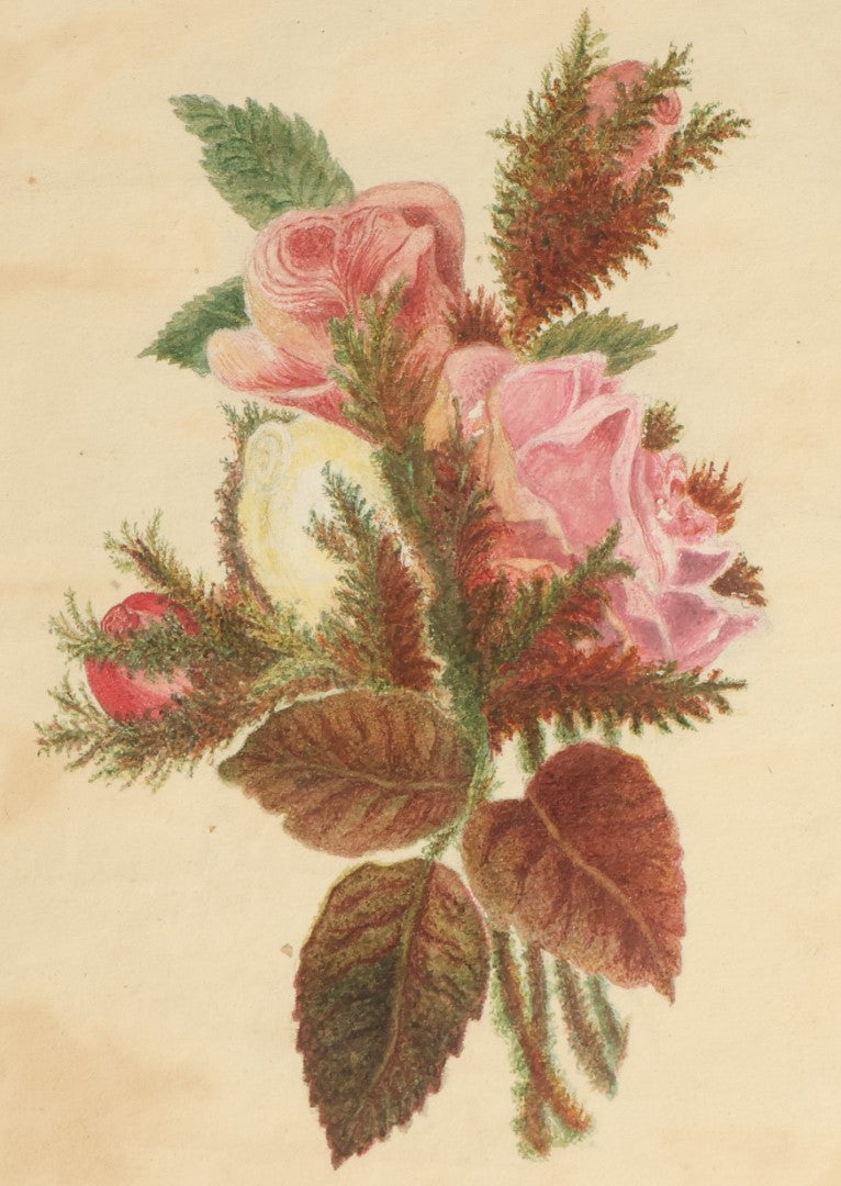 Lot 074 - Antique Hand Painted Rose Illustration, Unframed, Attributed To Ms. Lizzie S. Ames, Circa Late 19th Century