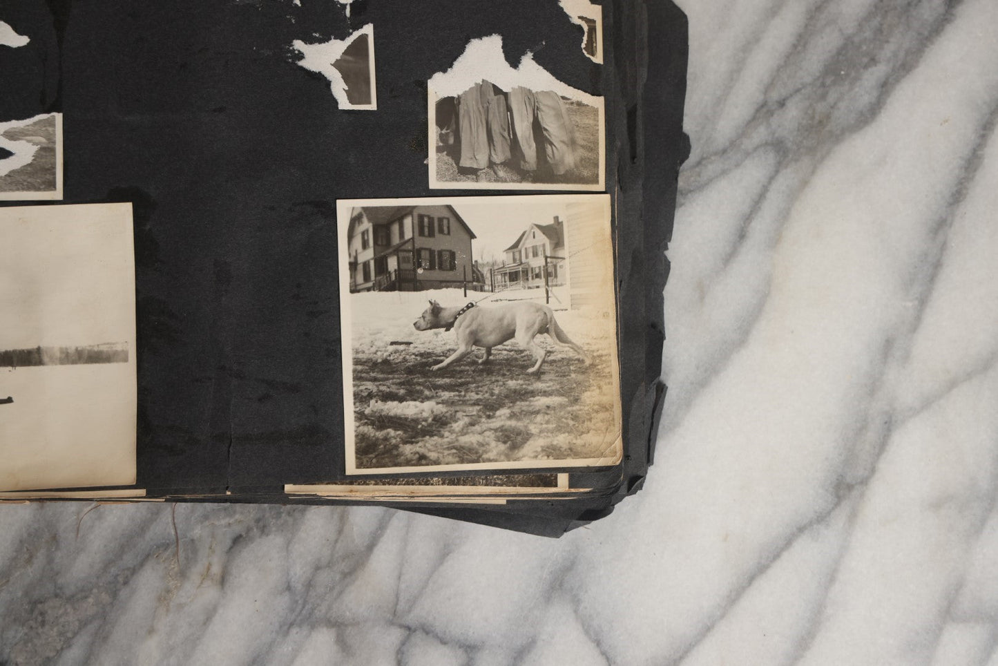 Lot 026 - Antique Early 20th Century Snapshot Photo Album With Many Photos Including Horse Drawn Sleighs, Carriages, Dogs And Pets, And More, Travel Photos, Netherlands, Circa 1910