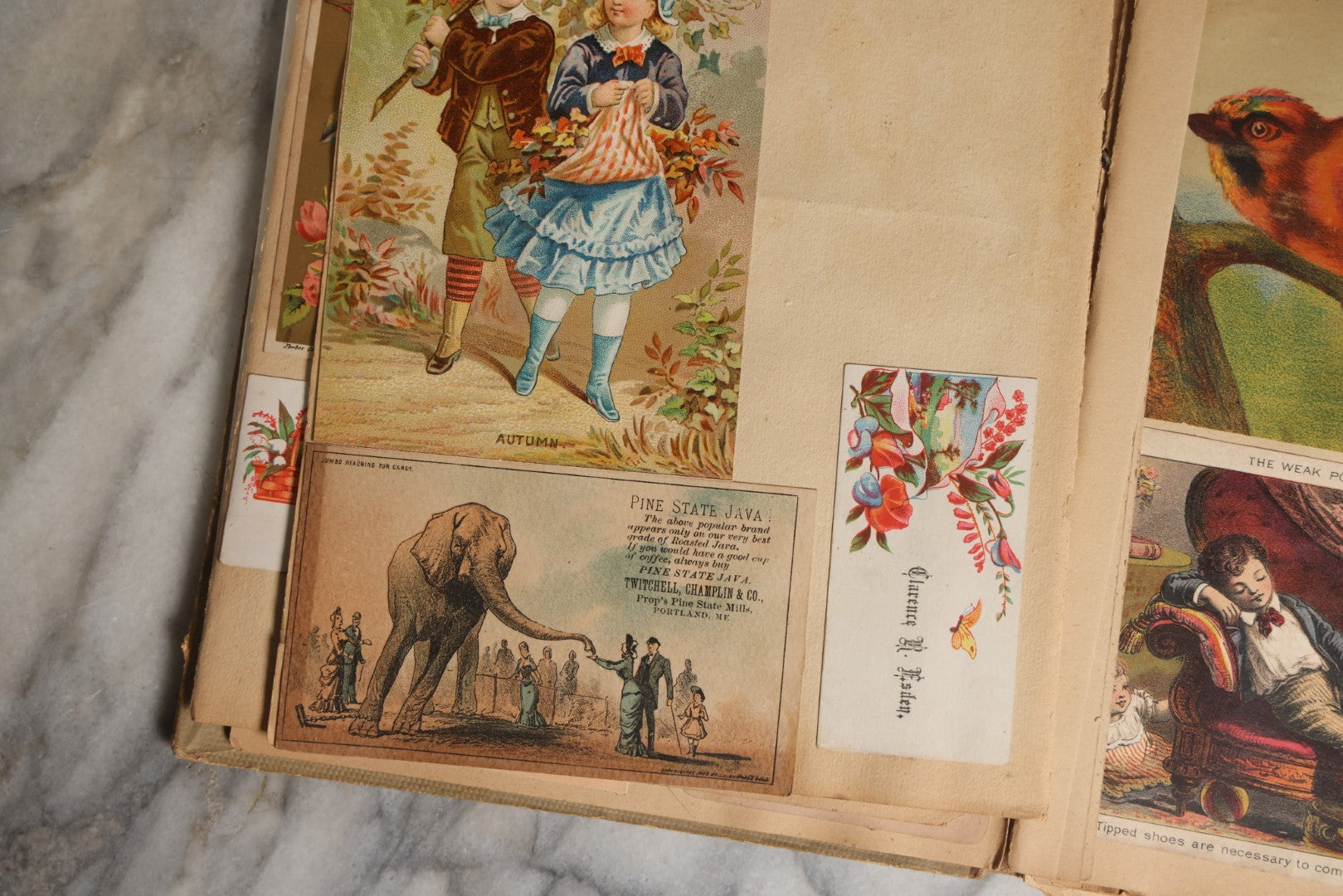 Lot 028 - Antique Victorian Trade Card Scrapbook Album With Woman In Red On Cover, Containing Many Scraps Including Rat Poison, Calling Card, Frogs, And More.