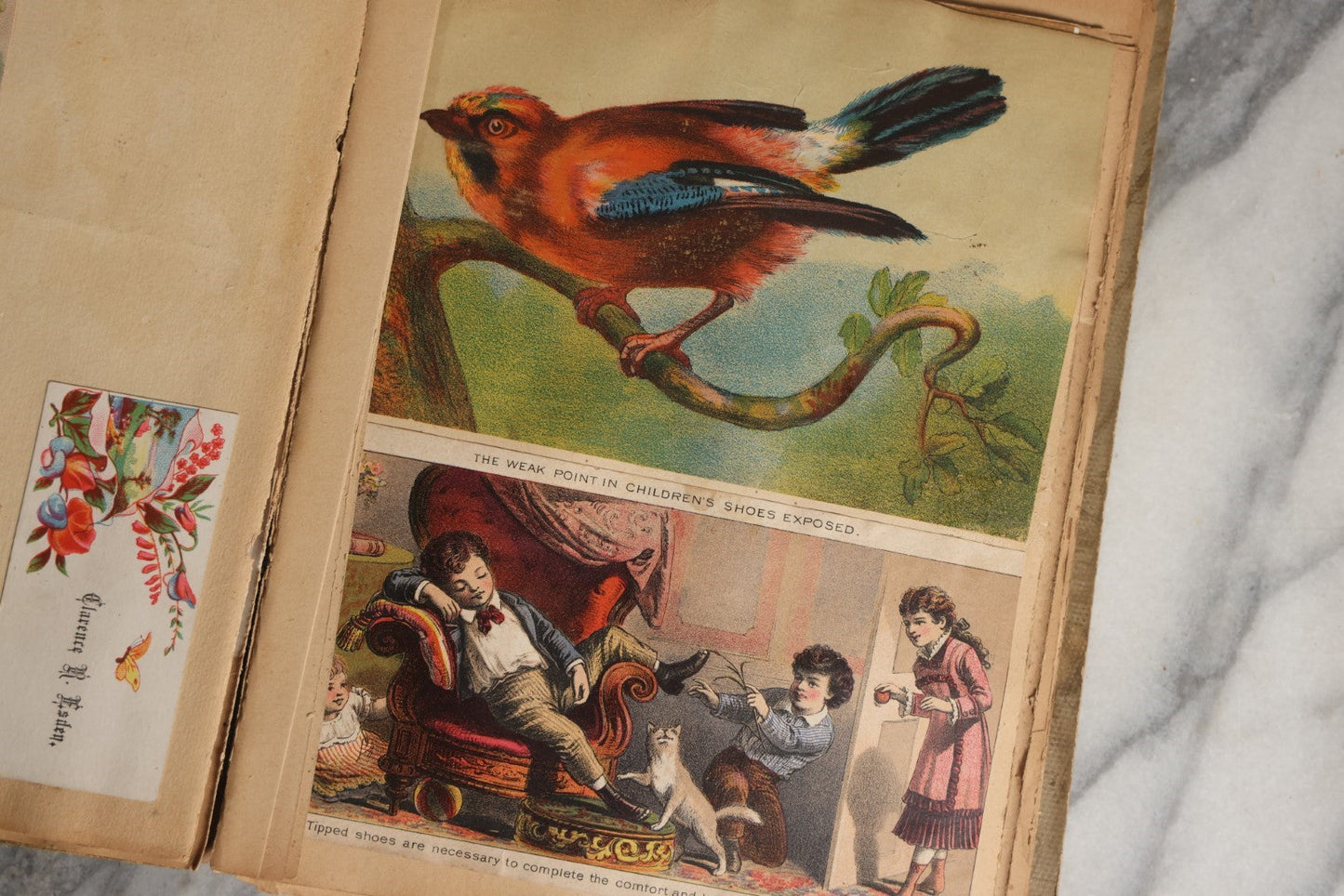 Lot 028 - Antique Victorian Trade Card Scrapbook Album With Woman In Red On Cover, Containing Many Scraps Including Rat Poison, Calling Card, Frogs, And More.