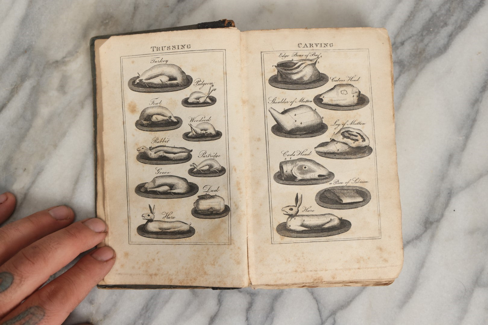 Lot 033 - "Modern Domestic Cookery And Useful Receipt Book Adapted To Families In The Middling And Genteel Ranks Of Life" Early Antique Cook Book By Elizabeth Hammond, Published 1824, London, With Illustrations