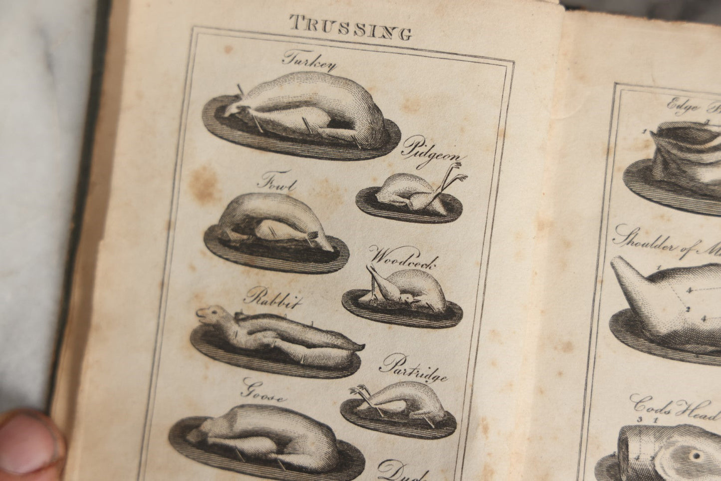 Lot 033 - "Modern Domestic Cookery And Useful Receipt Book Adapted To Families In The Middling And Genteel Ranks Of Life" Early Antique Cook Book By Elizabeth Hammond, Published 1824, London, With Illustrations